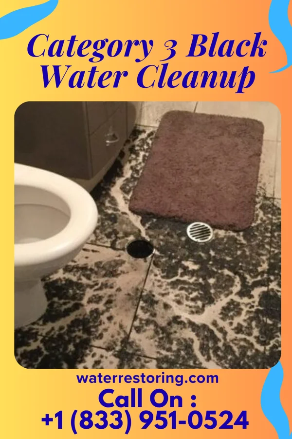 Category 3 Black Water Cleanup in Claremont, NH