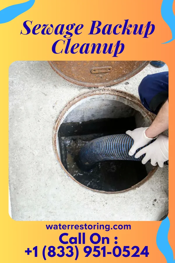 Sewage Backup Cleanup in Claremont, NH
