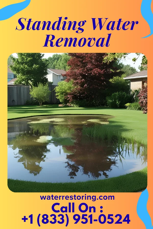 Standing Water Removal in Claremont, NH